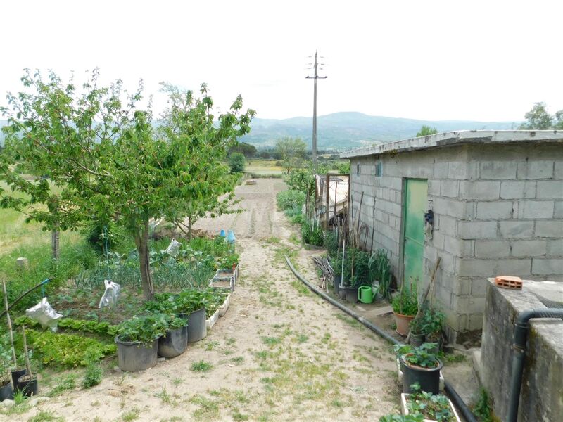 Terreno Agrícola plano Pinhanços Seia - tanque, água, poço