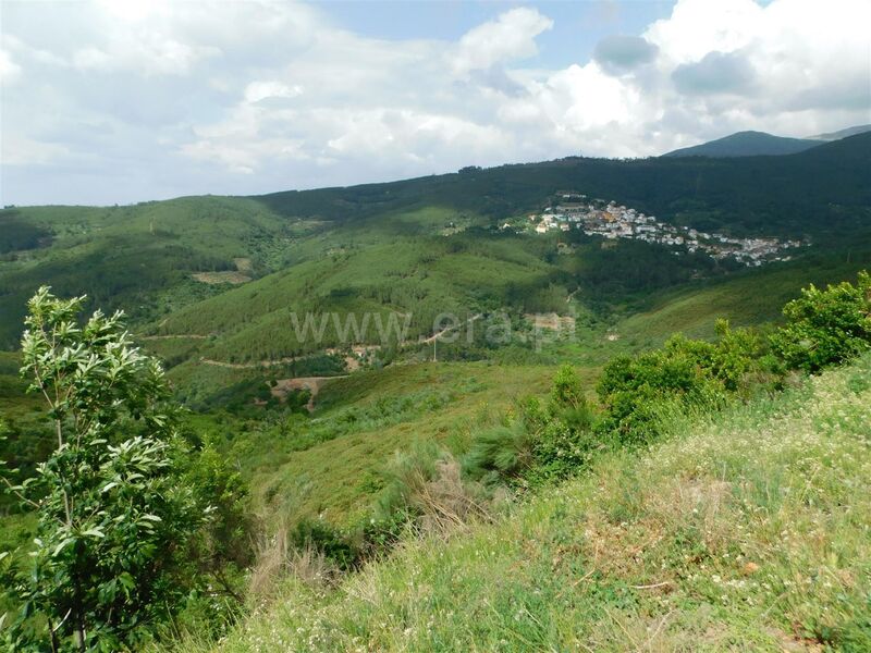 Terreno com 22000m2 T0 Sazes da Beira Seia