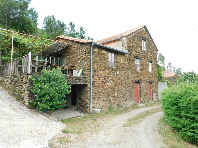 Farm Sazes da Beira Seia - fruit trees, water, electricity