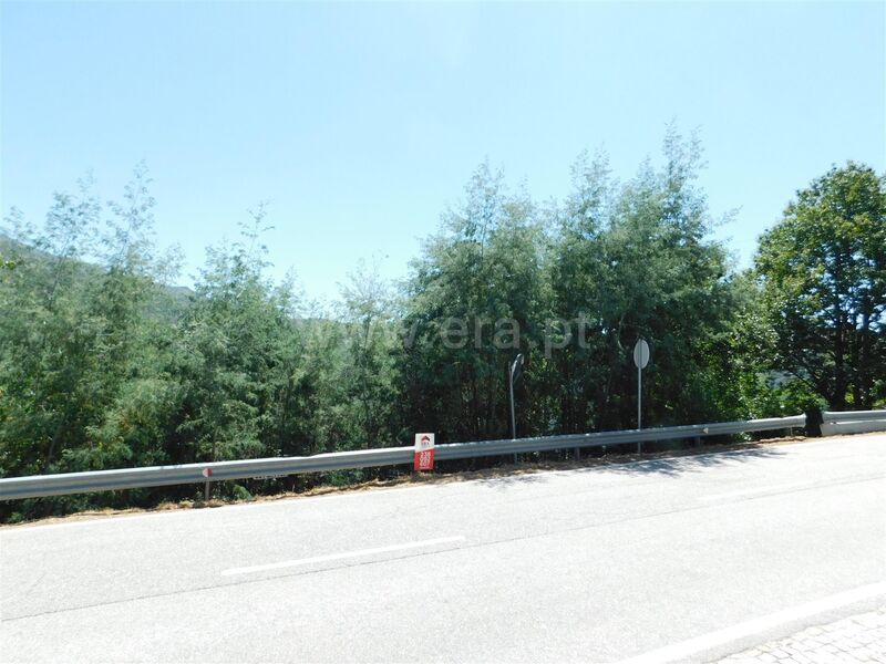 Lote com 800m2 Loriga Seia para comprar