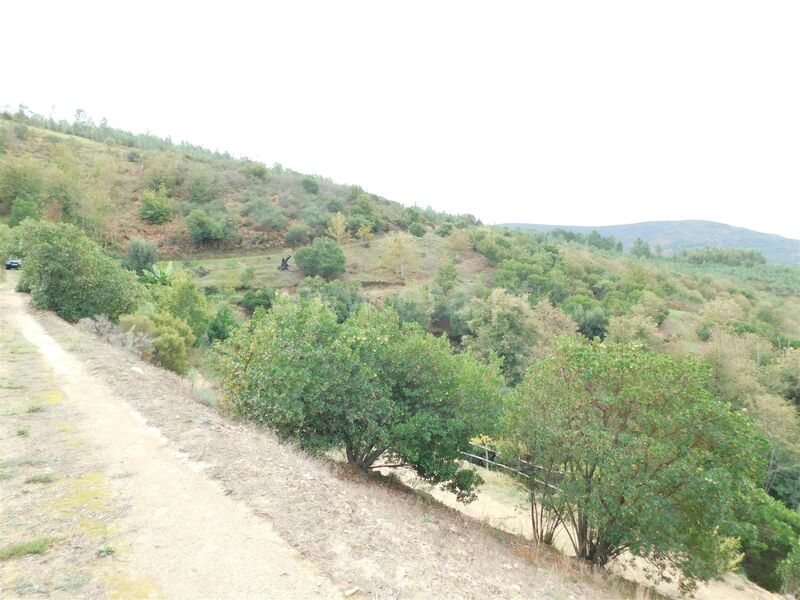 Quintinha Sandomil Seia - oliveiras, água