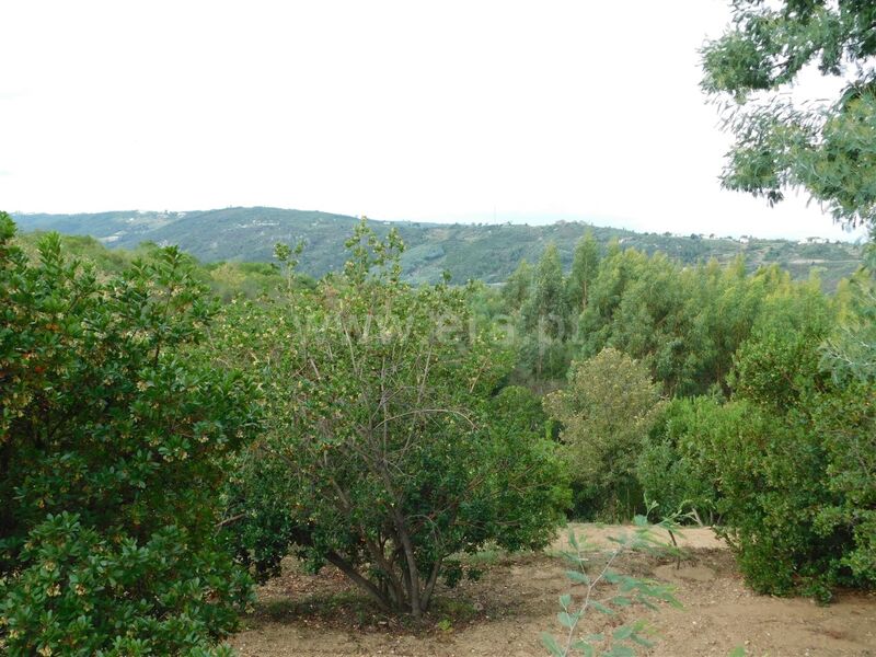 Land with 6600sqm Vila Cova à Coelheira Seia