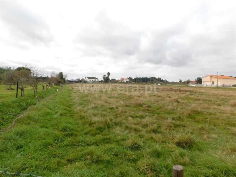 Land with 18950sqm Seia
