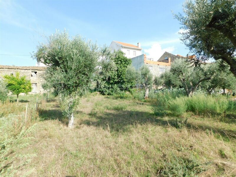 Land with 1386sqm Seia