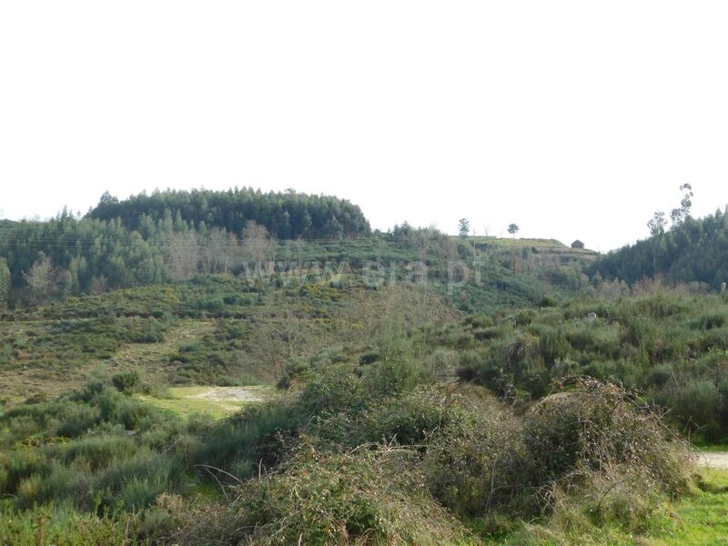Land with 44750sqm Seia - easy access