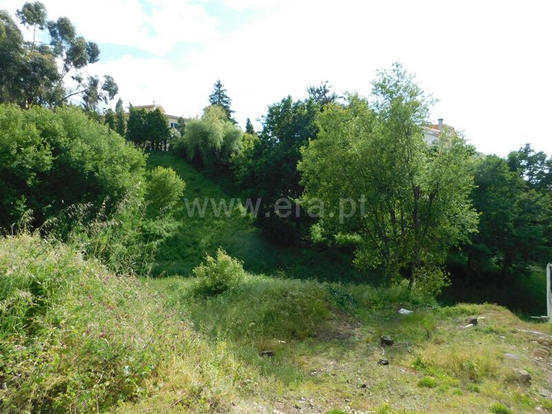Terreno Urbano com 430m2 Seia