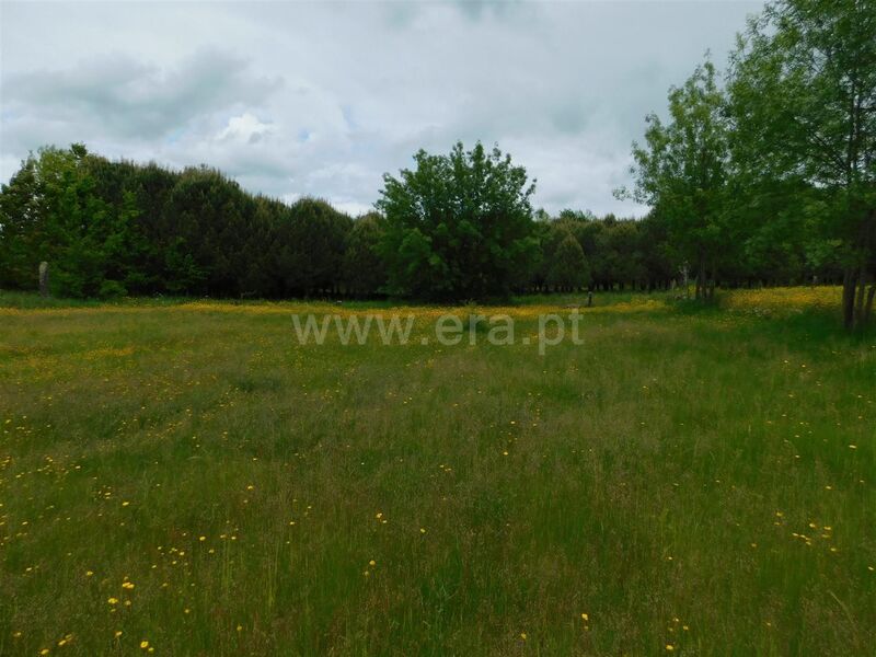 Land with 1488sqm Pinhanços Seia