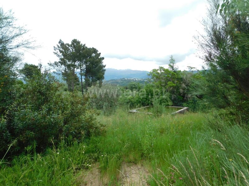 Quinta V0 Várzea de Meruge Seia - água, tanque, árvores de fruto