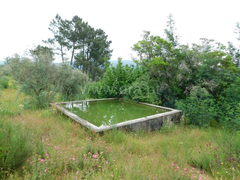 Quinta V0 Várzea de Meruge Seia - água, tanque, árvores de fruto