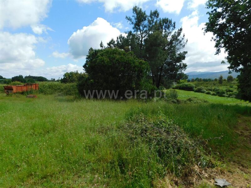 Land with 3200sqm Seia