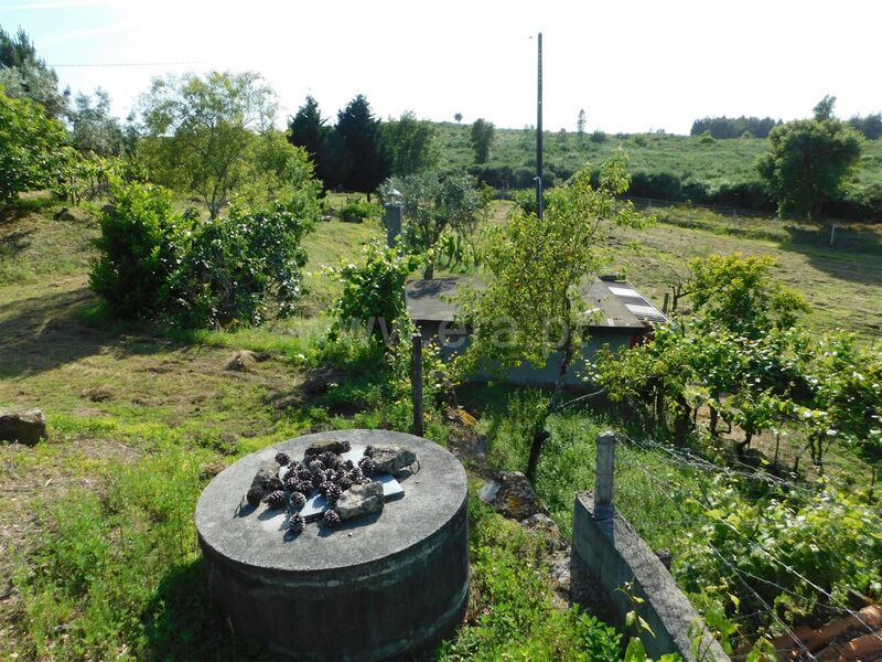 Quintinha V0 Paranhos Seia - água, árvores de fruto, poço, oliveiras, electricidade