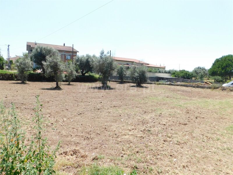 Terreno com 900m2 Tourais Seia