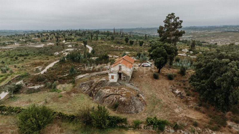 Quinta V0 Sameice Seia - sobreiros, oliveiras, poço, água, tanque