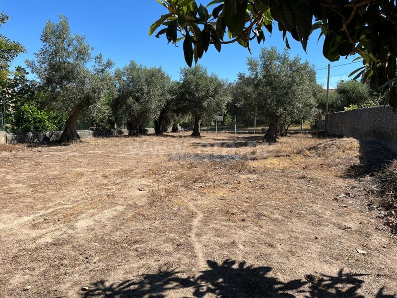 Terreno Urbano com 655m2 Cativelos Gouveia - furo, oliveiras, tanque
