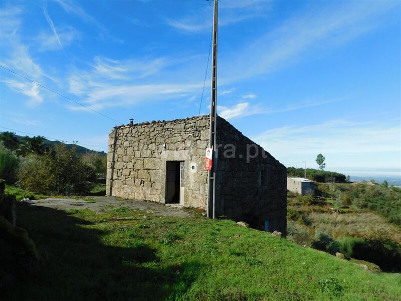 Quinta/Herdade V0 Santa Marinha Seia - oliveiras, árvores de fruto