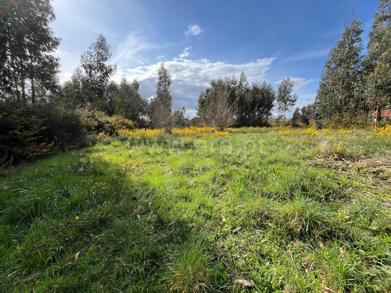 Lote de terreno Rústico com 6800m2 Seia