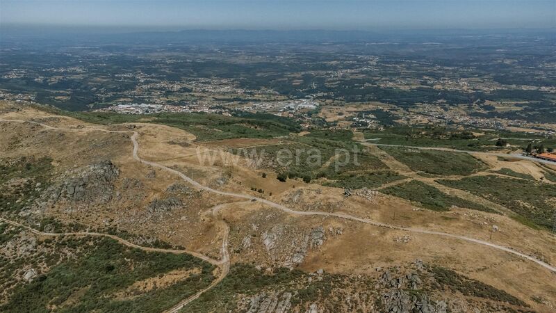 Terreno com 30900m2 Seia