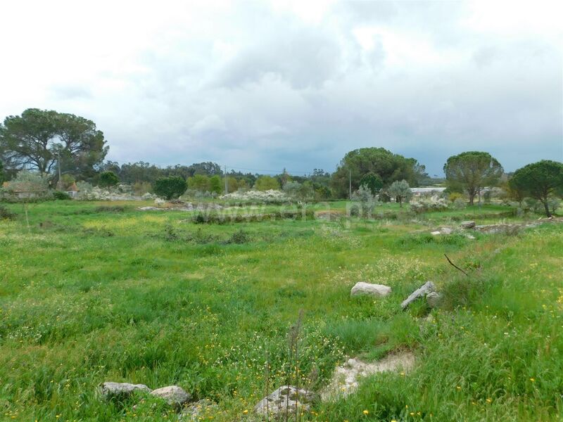Terreno com 2550m2 Paranhos Seia - bons acessos