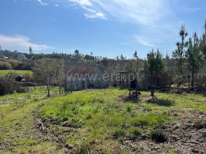 Land Agricultural with 9047sqm Sameice Seia - well, tank, water, olive trees