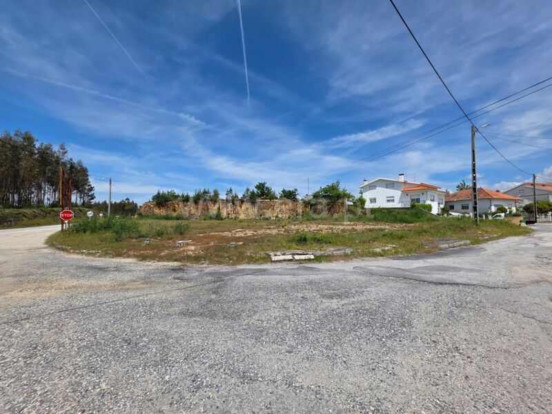 Terreno com 1336m2 Torrozelo Seia