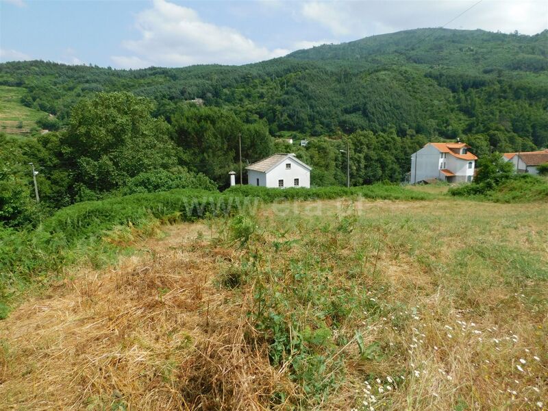 Terreno Urbano com 1227m2 Sandomil Seia