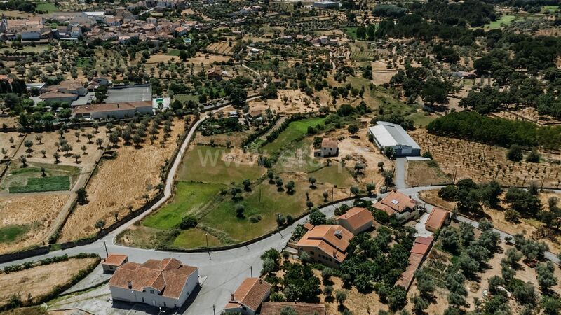 Quinta Paranhos Seia