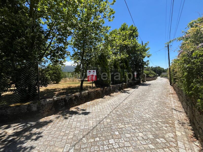 Terreno com 7880m2 Santa Comba Seia - água, árvores de fruto, poço, furo