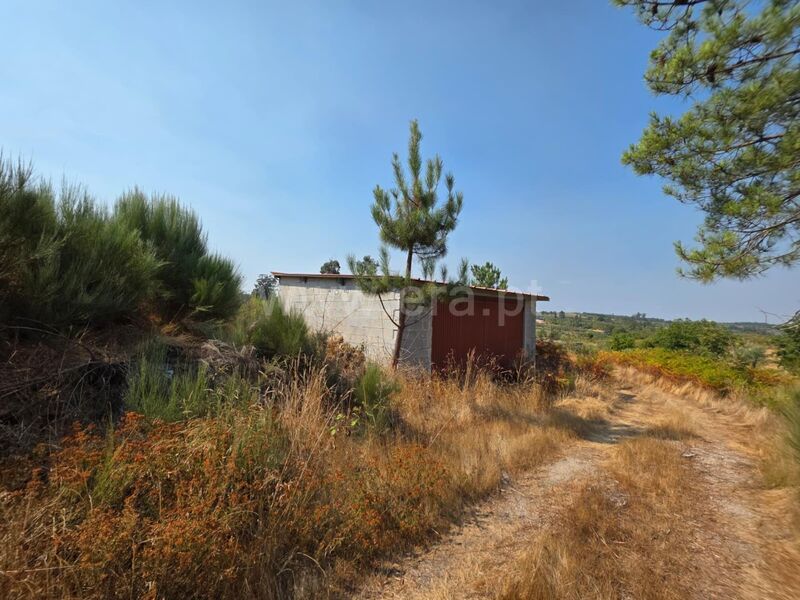 Farm Travancinha Seia - water, well