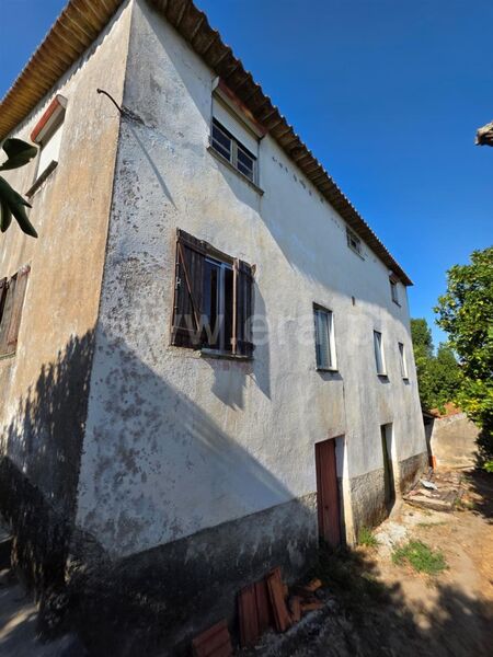 Farm Rio Torto Gouveia - water, well, olive trees, garage, fruit trees