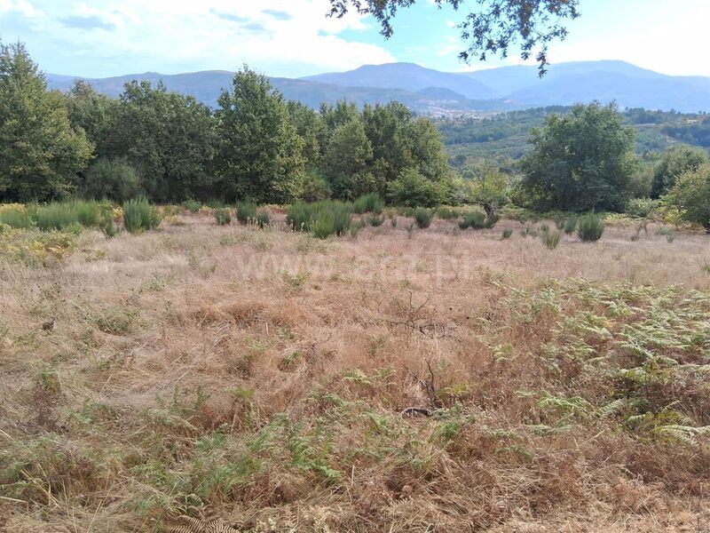 Land with 3784sqm Santiago Seia