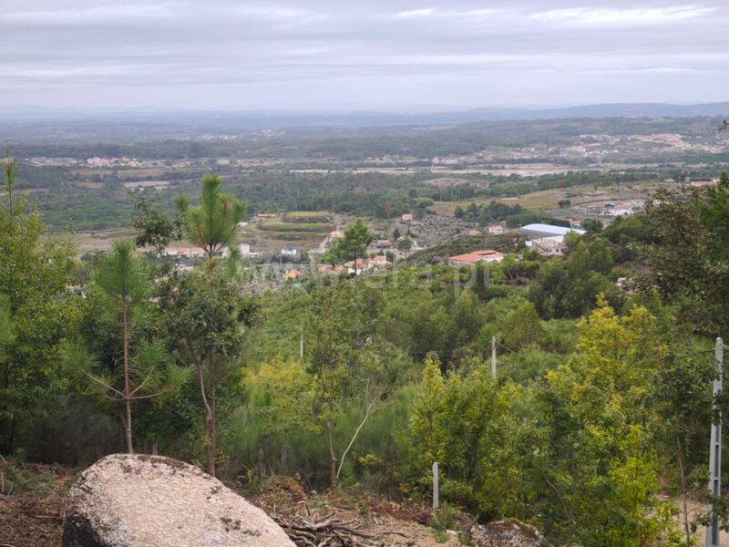 Land with 13927sqm Seia - electricity, great view