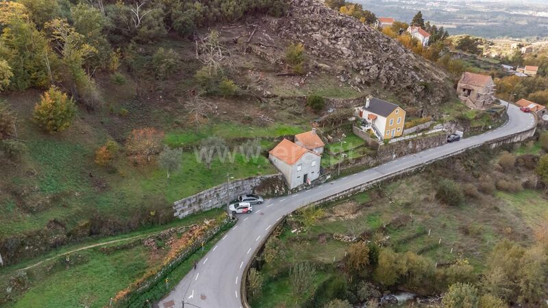 Home to renew V2 Seia - garden