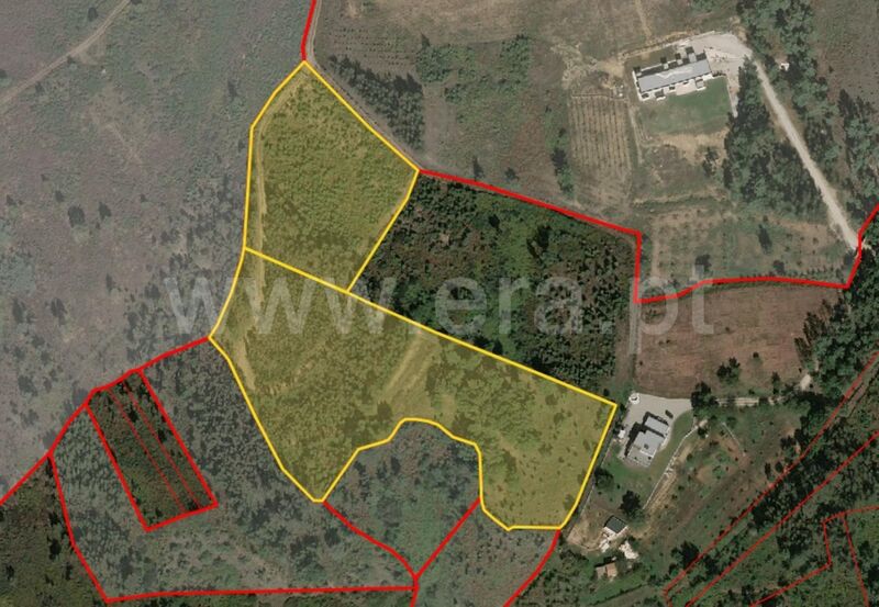 Terreno com 17520m2 Torrozelo Seia - electricidade