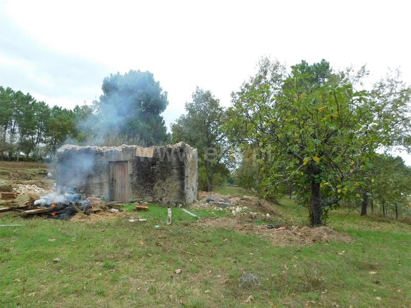 Land Urban with 13165sqm São Paio Gouveia - electricity, water