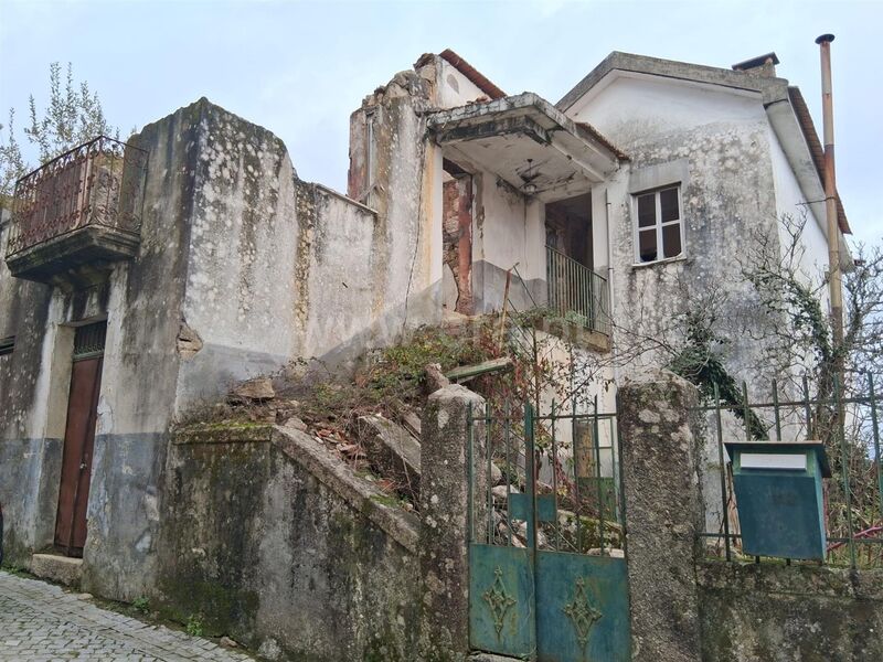 House to rebuild Tourais Seia - backyard