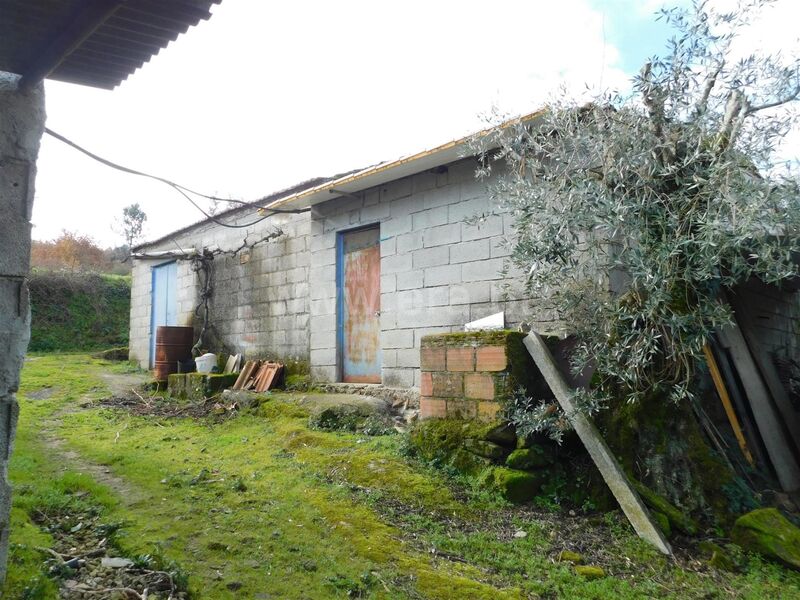 Terreno Agrícola com 13643m2 Sameice Seia - árvores de fruto, poço