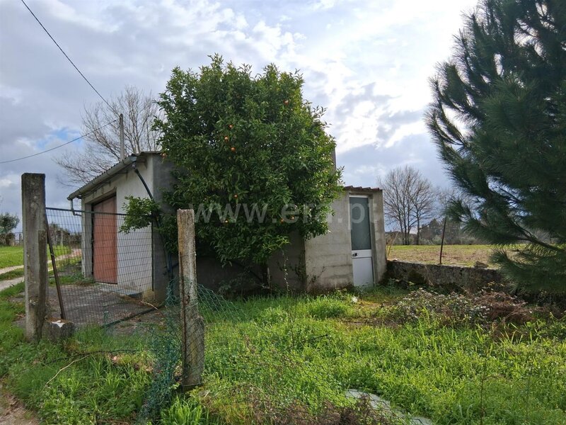Terreno Rústico com 2031m2 Paranhos Seia - árvores de fruto, oliveiras, poço, barracão, tanque