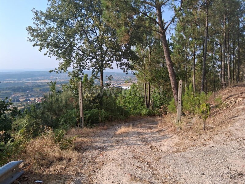 Terreno com 8666m2 Seia