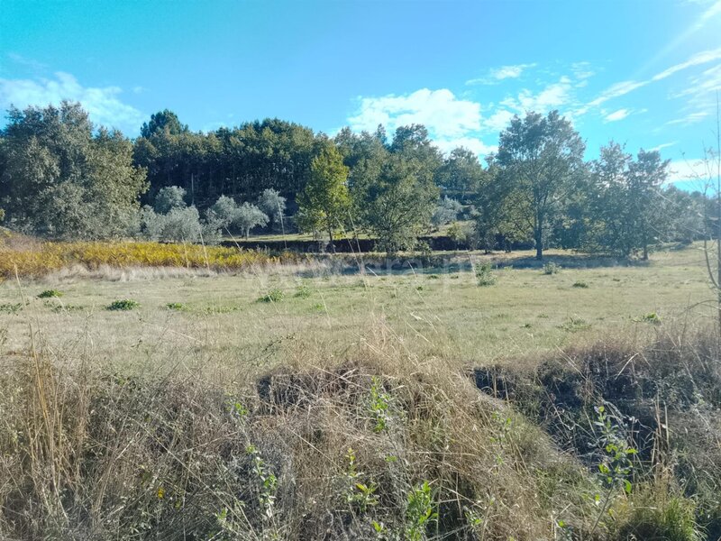 Terreno com 26700m2 Seia
