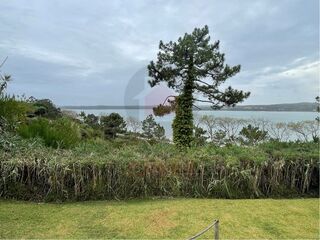 -210530246_ID37cf6d01-0000-0500-0000-0000118a05f6.jpg