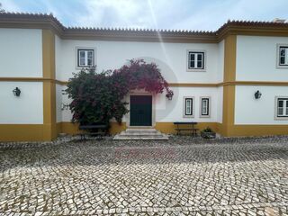 -210530246_ID37cf6d01-0000-0500-0000-00001197d18a.jpg