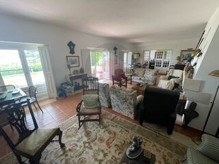 -210530246_ID37cf6d01-0000-0500-0000-00001197d18d.jpg