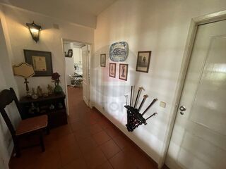 -210530246_ID37cf6d01-0000-0500-0000-00001197d192.jpg