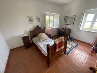 -210530246_ID37cf6d01-0000-0500-0000-00001197d198.jpg