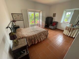 -210530246_ID37cf6d01-0000-0500-0000-00001197d1a3.jpg