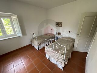 -210530246_ID37cf6d01-0000-0500-0000-00001197d1a5.jpg