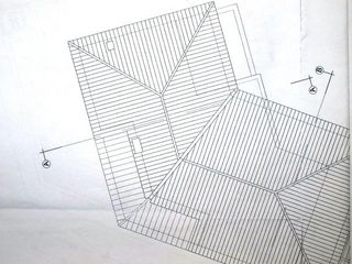 CP086919