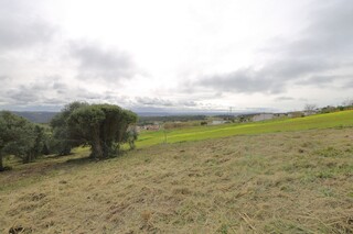 1000018126_img_6807.jpg