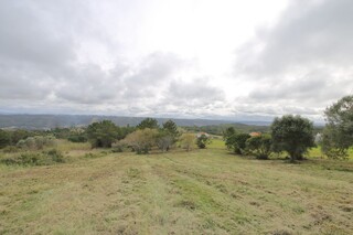 1000018126_img_6812.jpg