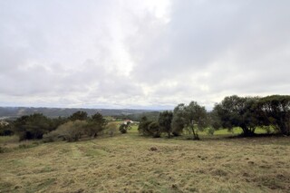 1000018126_img_6816.jpg